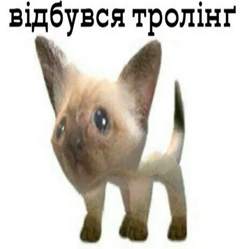 🤬 Стикер «Бан по причине» для Telegram