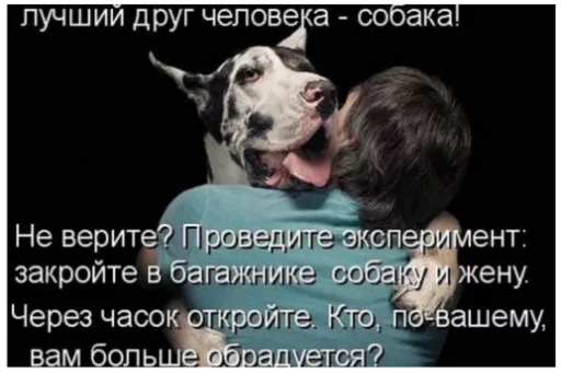 😂 Стикер «Как вариант» для Telegram