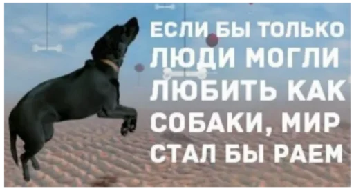 😍 Стикер «Как вариант» для Telegram