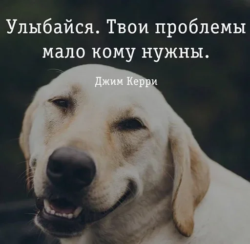 🧐 Стикер «Как вариант» для Telegram