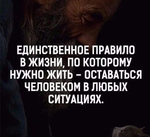 🧐 Стикер «Как вариант» для Telegram