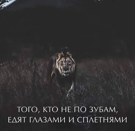 🧐 Стикер «Как вариант» для Telegram
