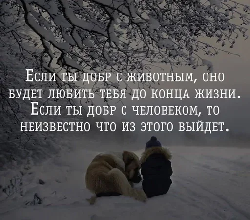 🧐 Стикер «Как вариант» для Telegram