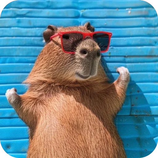 💪 Стикер «Bara» для Telegram