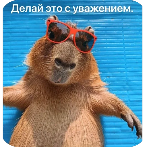 👊 Стикер «Bara» для Telegram