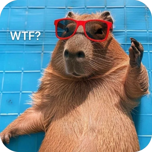 ⁉️ Стикер «Bara» для Telegram