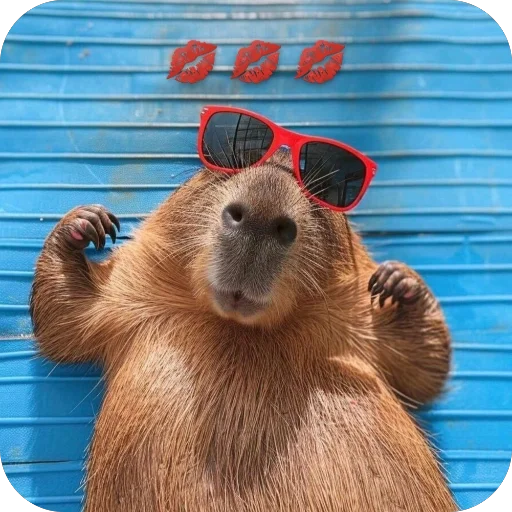 🥰 Стикер «Bara» для Telegram