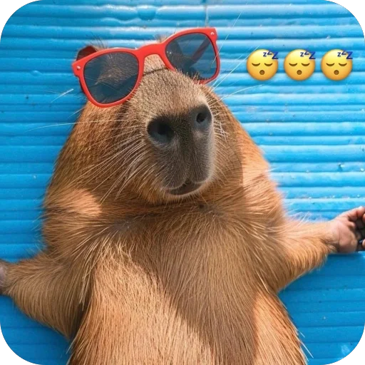 😴 Стикер «Bara» для Telegram