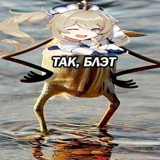 💧 Стикер «I believe in BARBARA supremacy» для Telegram