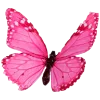 🦋 Эмодзи «Concept Barbie» для Telegram