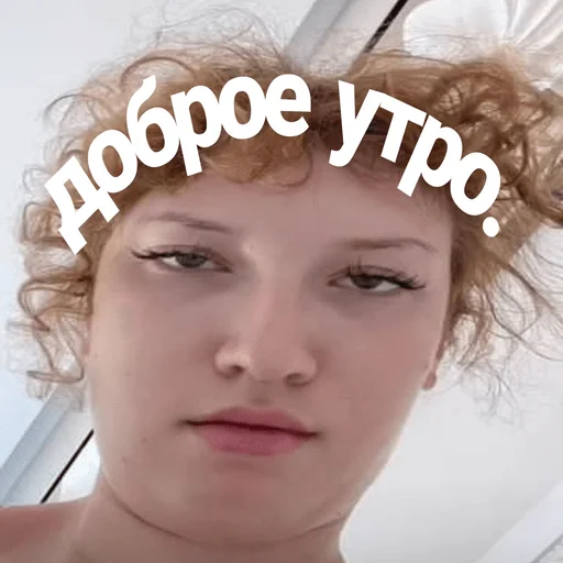 💤 Стикер «я хотел - я сделял» для Telegram