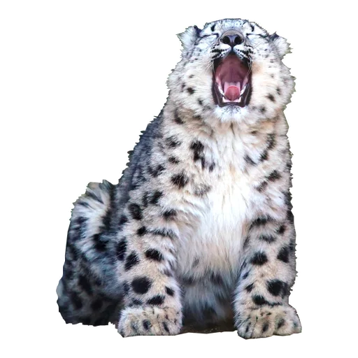 Стикерпак BarsFukuBaby для Telegram