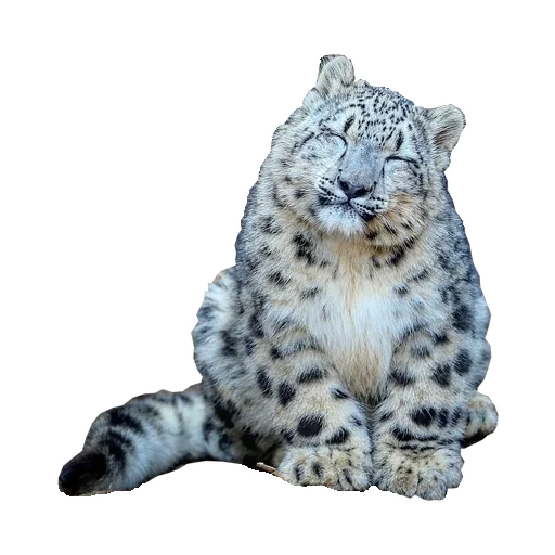 ☺️ Стикер «BarsFukuBaby» для Telegram
