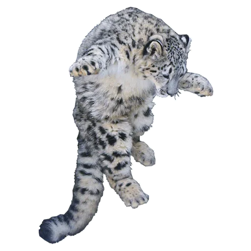 🙀 Стикер «BarsFukuBaby» для Telegram