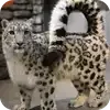 🫥 Эмодзи «снежные барсики» для Telegram