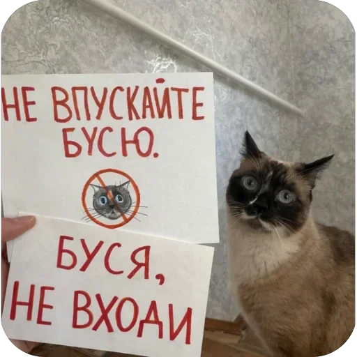 🫥 Стикер «буси туси дуси» для Telegram