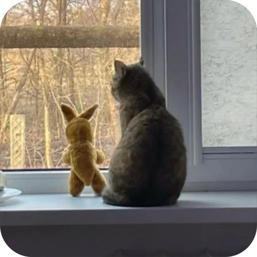😢 Стикер «буси туси дуси» для Telegram