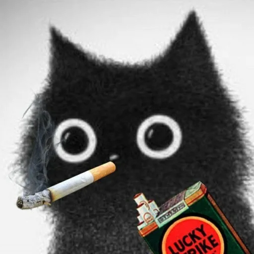 🐱 Стикер «Based Cat» для Telegram