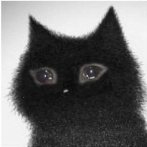 🐱 Стикер «Based Cat» для Telegram