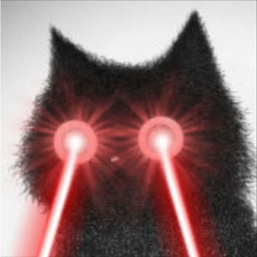 🐱 Стикер «Based Cat» для Telegram