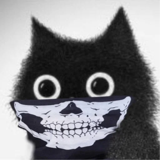 🐱 Стикер «Based Cat» для Telegram