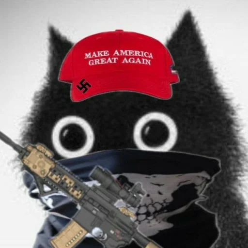🐱 Стикер «Based Cat» для Telegram