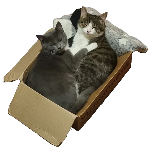 🐱 Стикер «Ð°Ð²ÑÐ¾Ð±ÑÑÑ» для Telegram