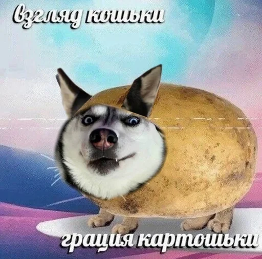 🤪 Стикер «based memes» для Telegram