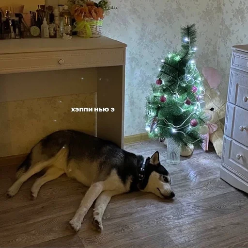 🎄 Стикер «based memes» для Telegram