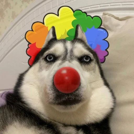 🤡 Стикер «based memes» для Telegram