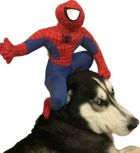🕷️ Стикер «based memes» для Telegram