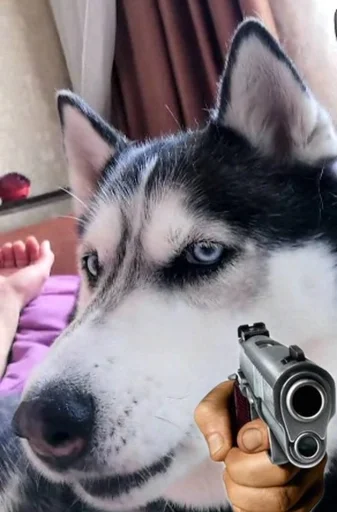 🤠 Стикер «based memes» для Telegram