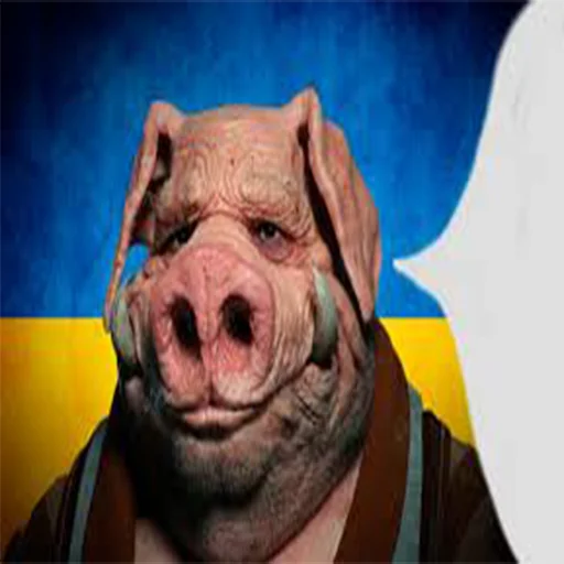 🐷 Стикер «боевые» для Telegram
