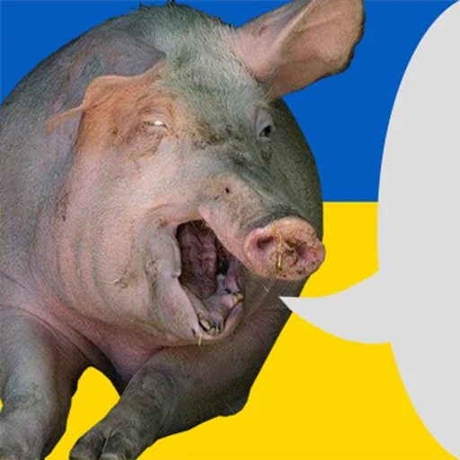 🇺🇦 Стикер «боевые» для Telegram