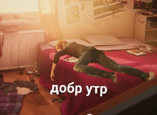 ☀️ Стикер «лайф ис стреч» для Telegram