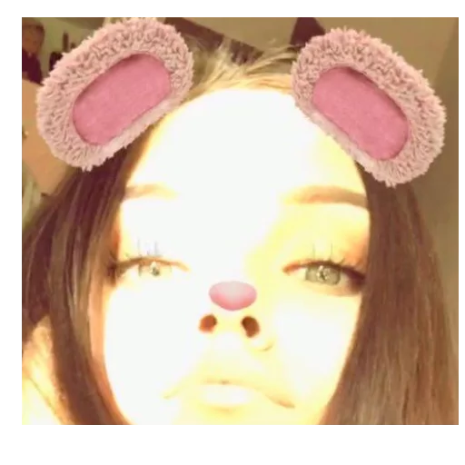🐹 Стикер «питомник ди» для Telegram