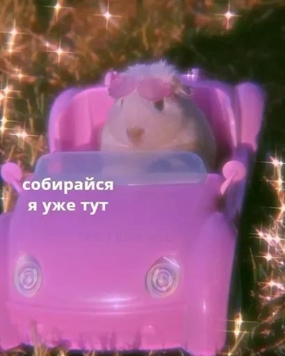 😘 Стикер «стикеры для бичес» для Telegram