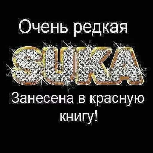 🤩 Стикер «стикеры для бичес» для Telegram