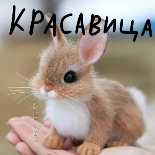 🐰 Стикер «Зайчики на все случаи жизни» для Telegram