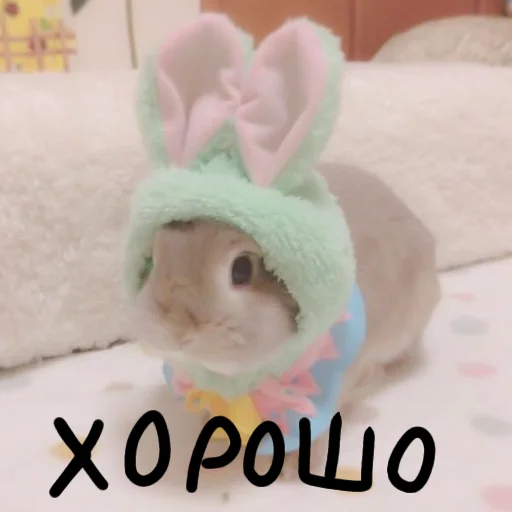 🐰 Стикер «Зайчики на все случаи жизни» для Telegram