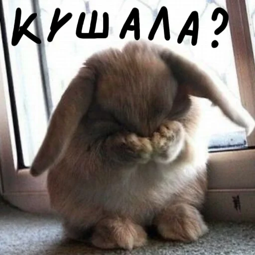 🐰 Стикер «Зайчики на все случаи жизни» для Telegram