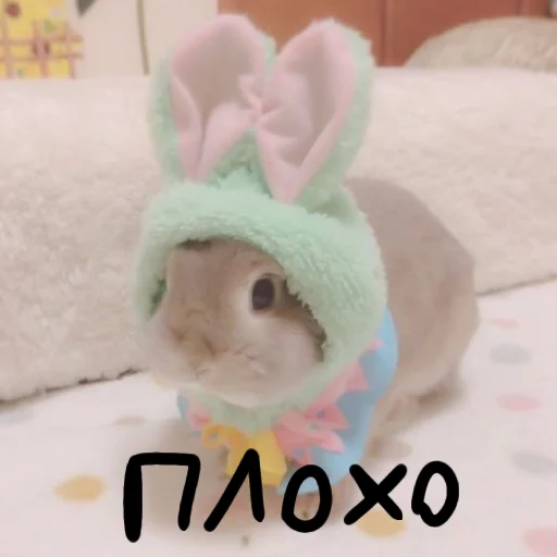 🐰 Стикер «Зайчики на все случаи жизни» для Telegram