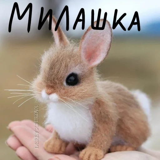 🐰 Стикер «Зайчики на все случаи жизни» для Telegram