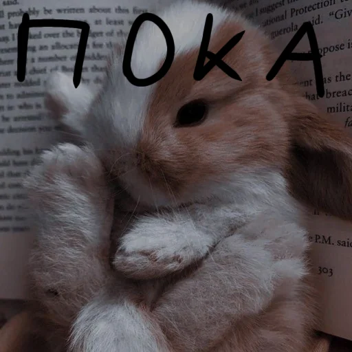 🐰 Стикер «Зайчики на все случаи жизни» для Telegram