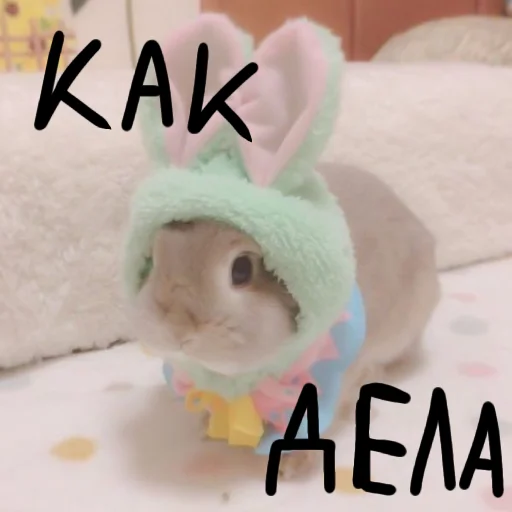 🐰 Стикер «Зайчики на все случаи жизни» для Telegram