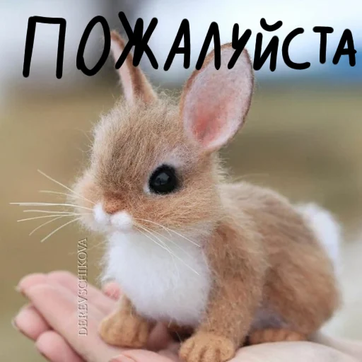 🐰 Стикер «Зайчики на все случаи жизни» для Telegram
