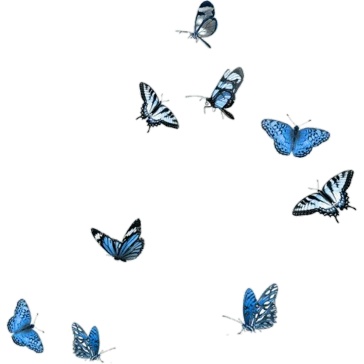 🦋 Стикер «foods» для Telegram