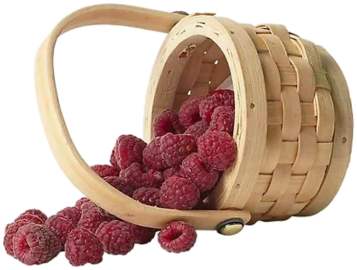 🧺 Стикер «foods» для Telegram