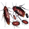 🌟 Эмодзи «/̞̎̆͒̄͗̾̚'3͜͡/̞̎̆͒̄͗̾̚» для Telegram