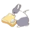 Стикер 51 🐰Rabbit and food